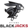 Brampton Honey Badgers